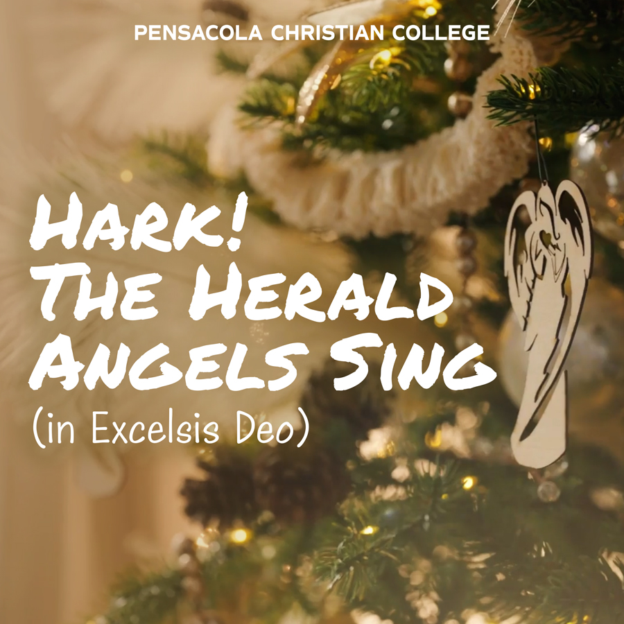 Hark! The Herald Angels Sing
(in Excelsis Deo)