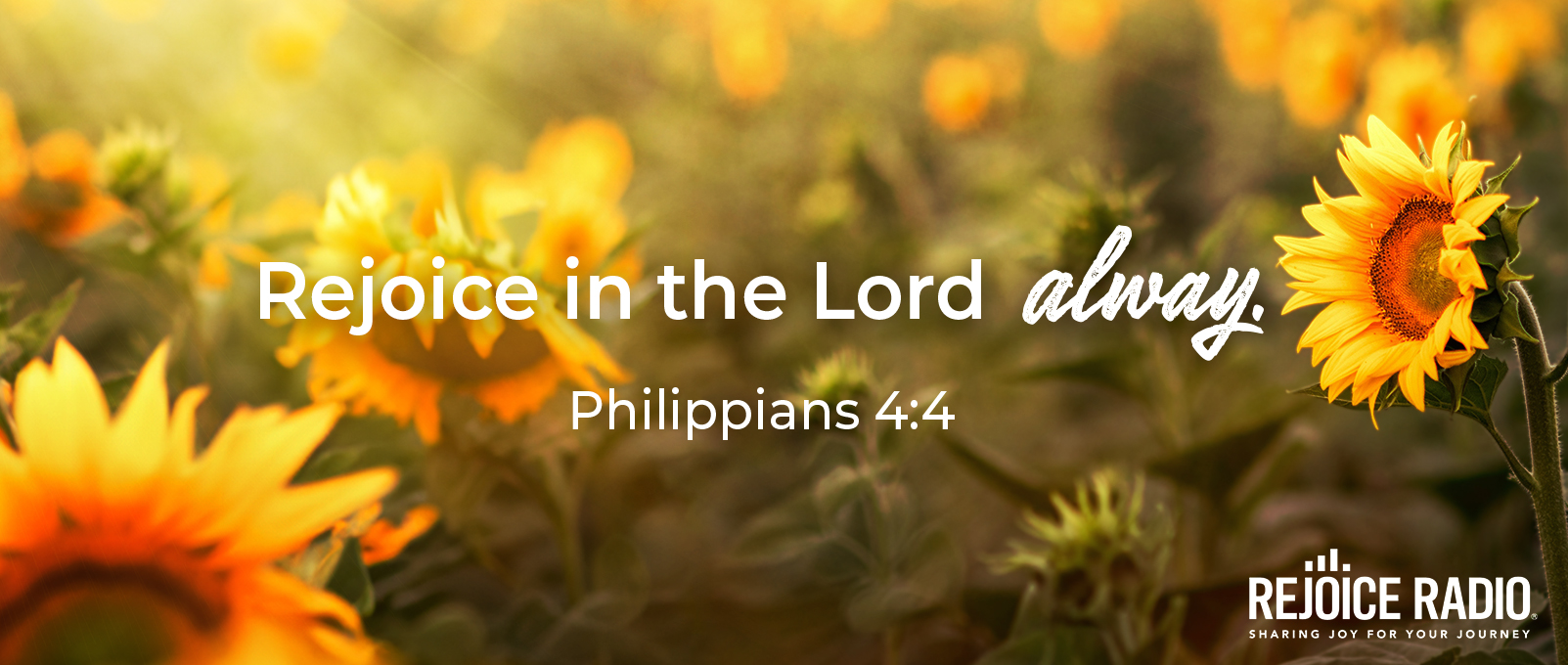 Philippians 4:4 - Rejoice in the Lord alway.