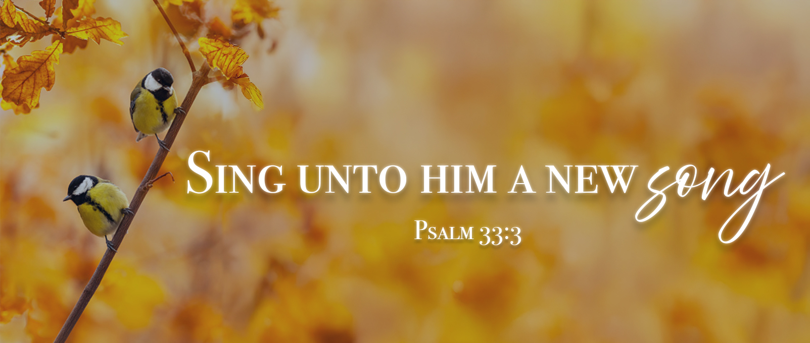 Psalm 33:3