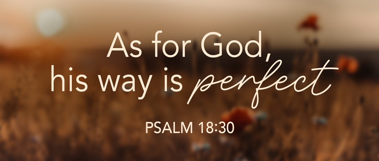 Psalm 18:30