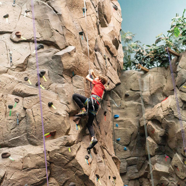 Rock Climbing