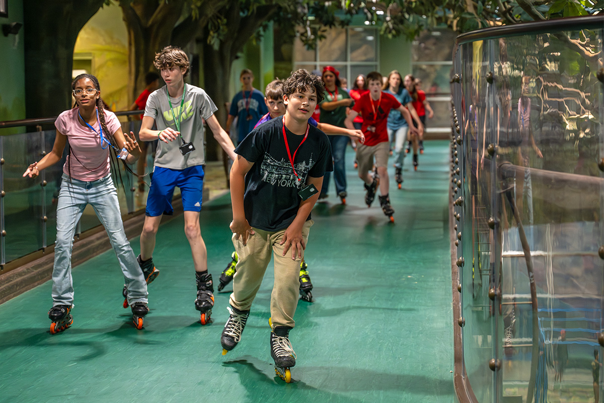 Recreation Gallery Photo