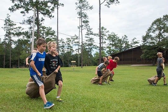 Camp o' the Pines