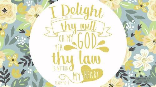 Psalm 40:8